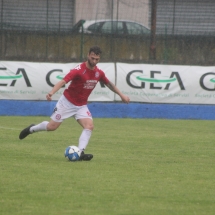 IMG_8895 IMG_8895