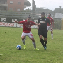 IMG_8935 IMG_8935
